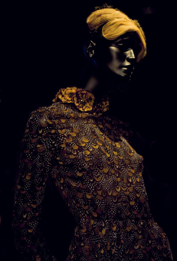 restir butterfly dressgar Black photo of a butterfly dress in restir tokyo