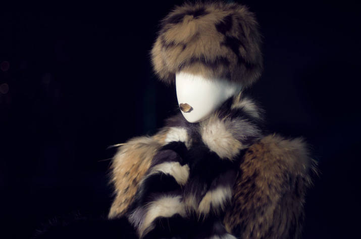 Restir Manakin fur a manakin in fur in Restir tokyo