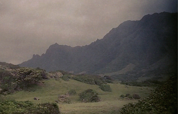 Me in Hawaii Danny Roberts photo in hawaii of the hill and landscapes