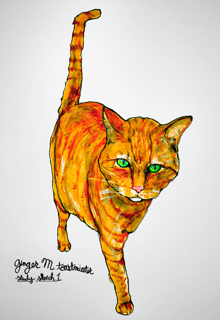 ginger marmalade concepts Artist Danny Roberts Concept sketchs for Ginger Marmalade Toast Miester of his cat milo