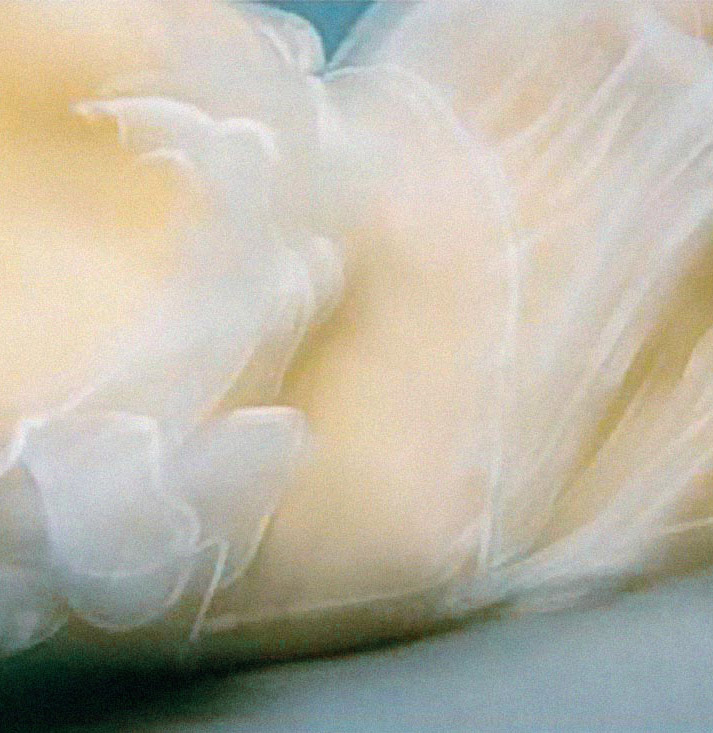 Jacques Henri Lartigue Beautiful dreamy under water photo by photographer Barbara Cole of a girl in white see through dress