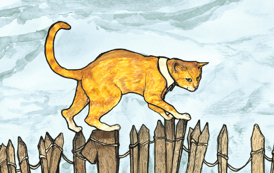 an illustration Danny Roberts did of the Ginger Marmalade toast miester