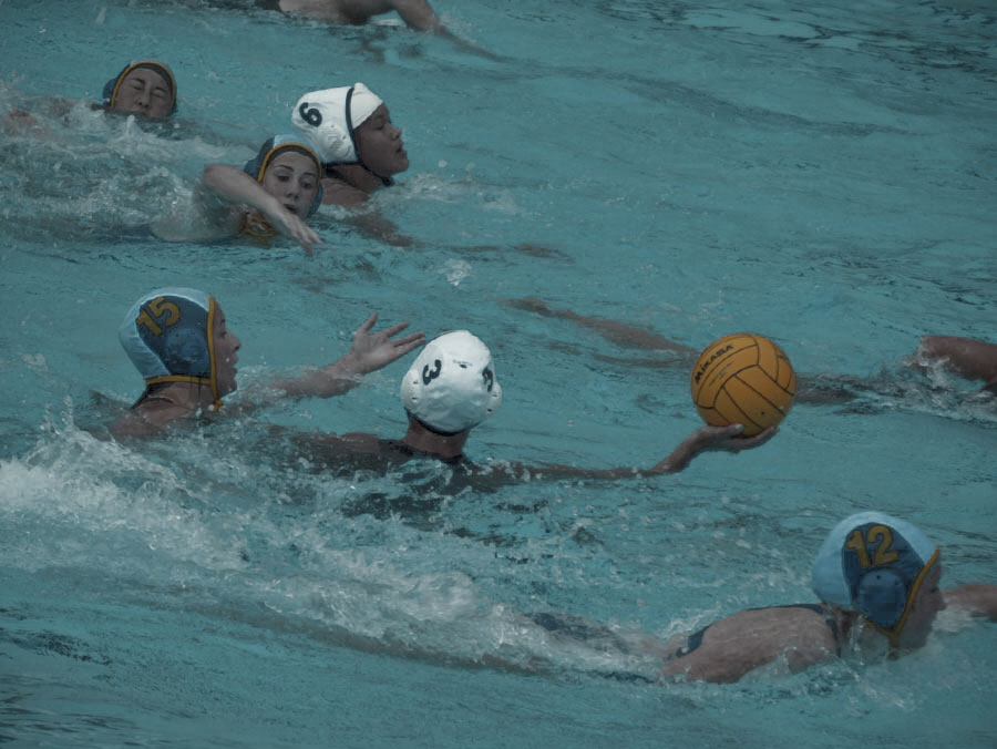 Igor and andre Photo of water polo