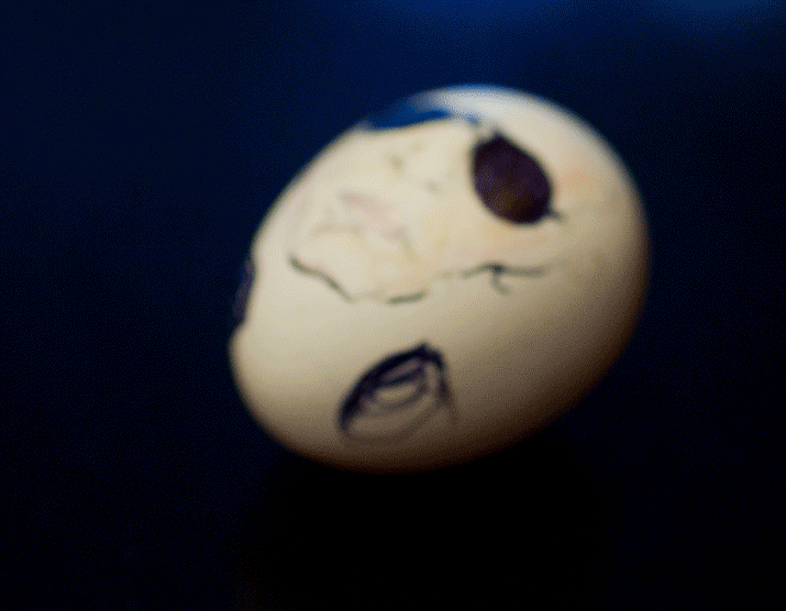 An animation of karl lagerfeld drawn onto a eggs by artist danny roberts